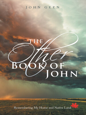 cover image of The Other Book of John